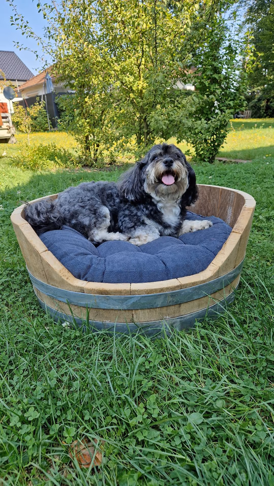 Viertel Barriquefass als Hundekorb, Katzenkorb